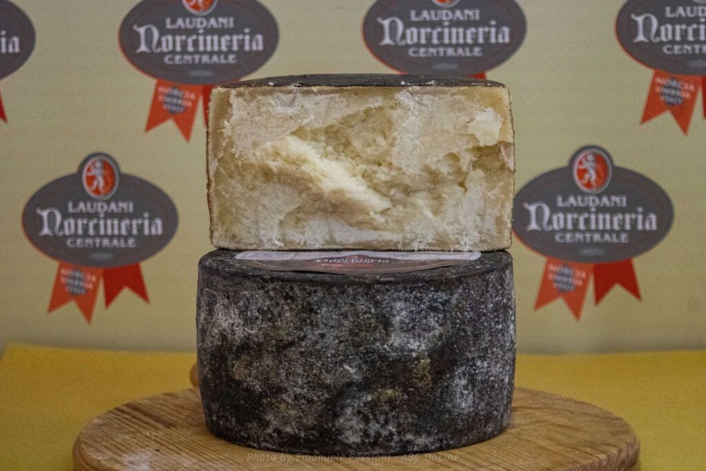Aged pecorino trombarolo