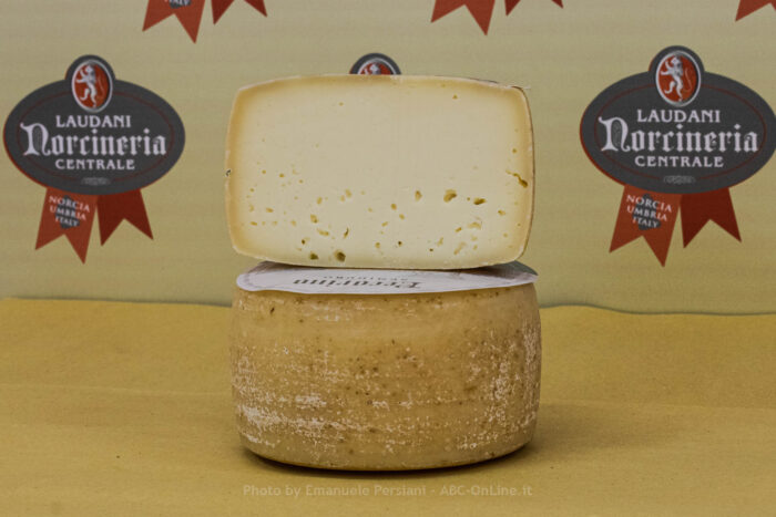Pecorino semistagionato 40-50 gg - immagine 2