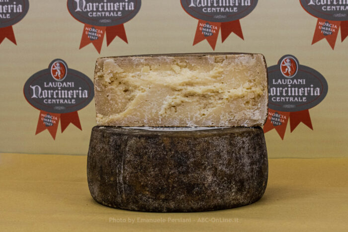 Aged pecorino trombarolo - Image 2
