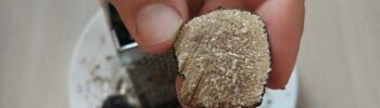 tartufo estivo di norcia scorsone tagliato su piatto Tartufo Estivo Tuber Aestivum Vitt