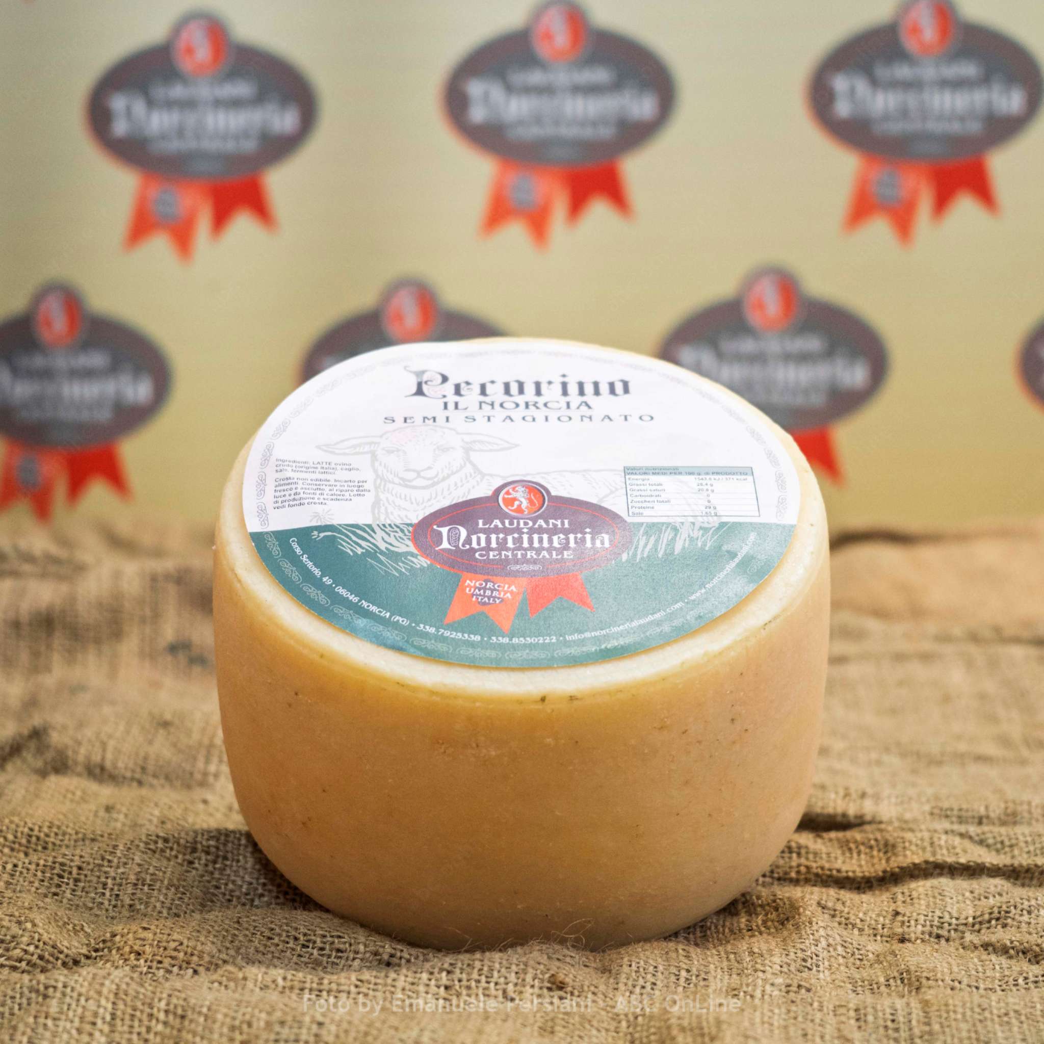 20250925 pecorino semi stagionato di norcia intero