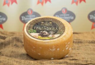 pecorino stagionato testa nera norcia intero_ps