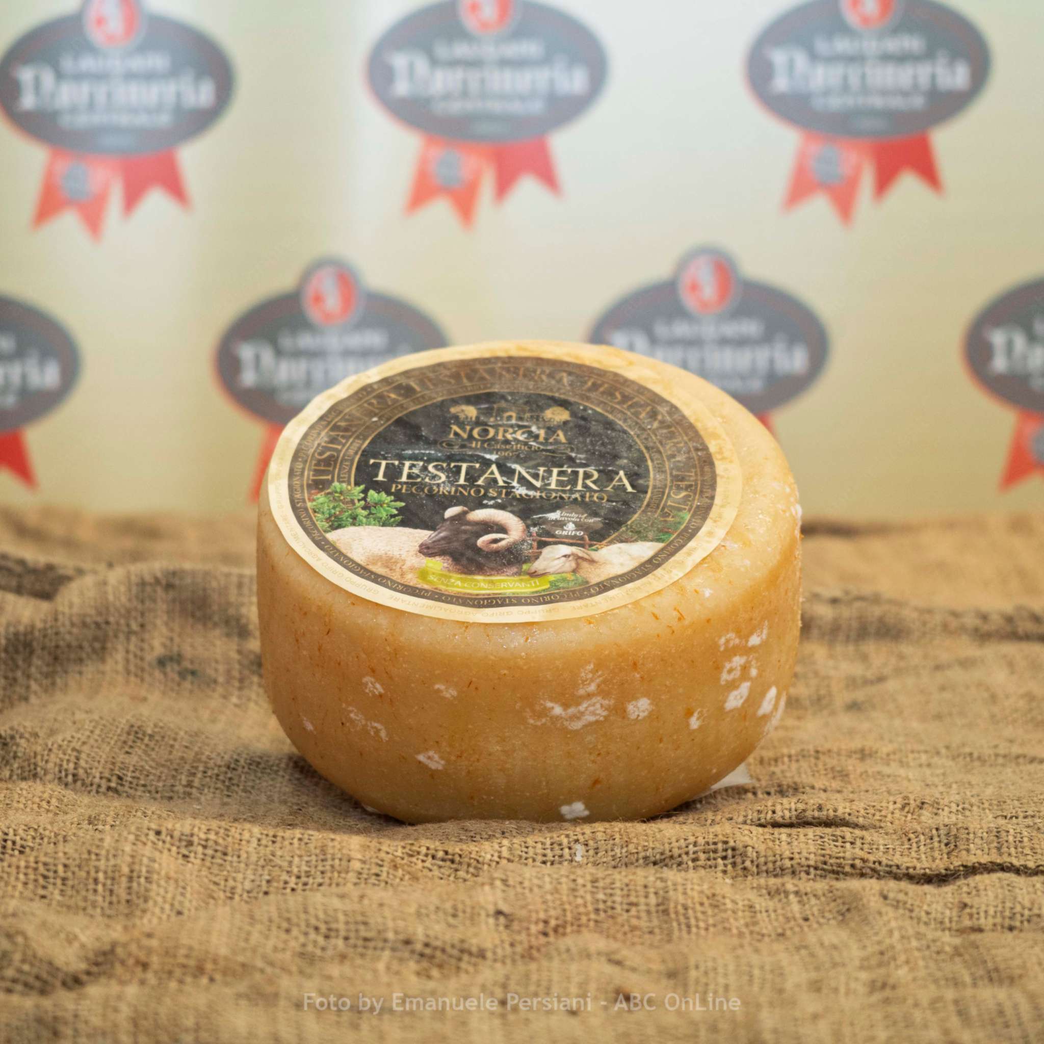 pecorino stagionato testa nera norcia intero_ps