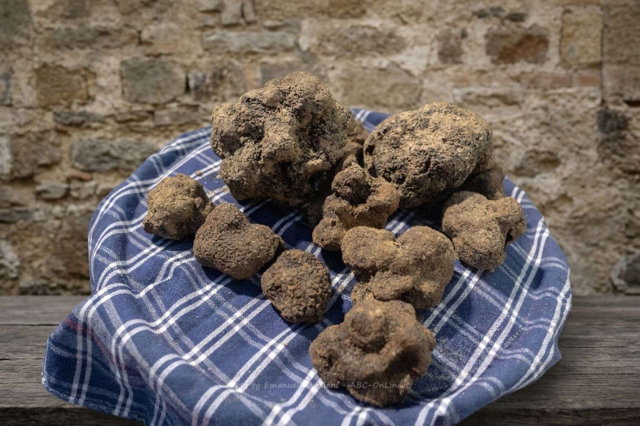 raccolta Tartufi freschi